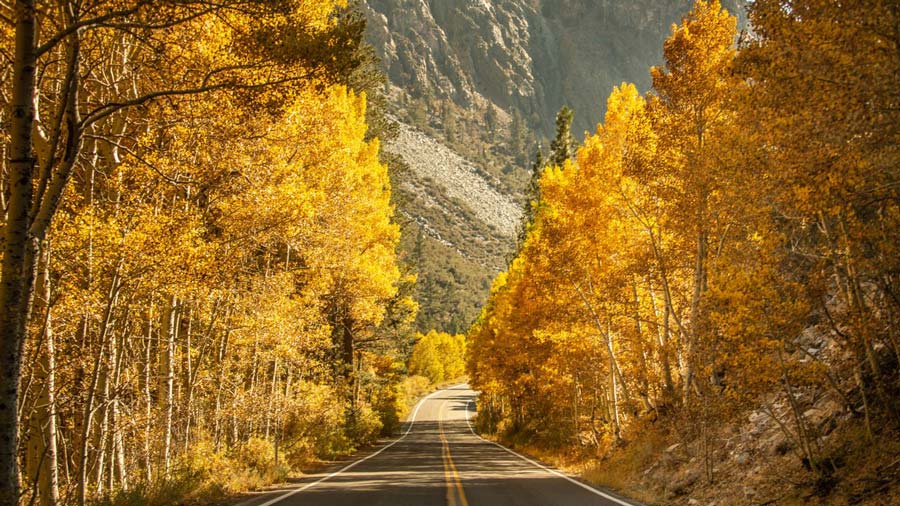 The Best Things to Do in Mammoth Lakes During the Fall - ASO Mammoth